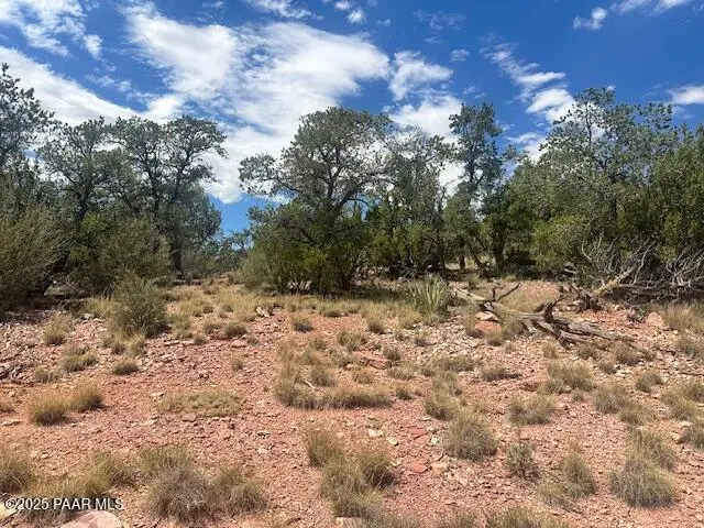 1020 Duffis Bluff Road, Seligman, AZ 86337 - Image #2