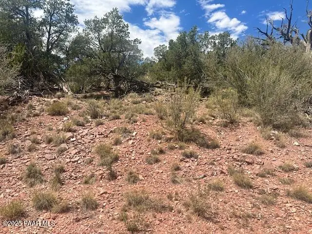 1020 Duffis Bluff Road, Seligman, AZ 86337 - Image #3