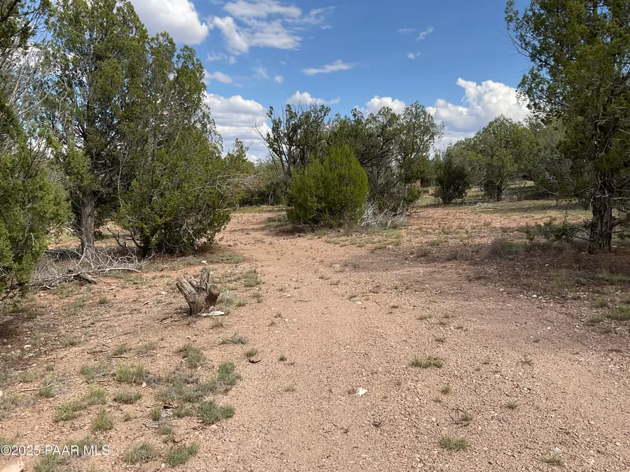 40670 W Scout Trail, Seligman, AZ 86337 - Image #2