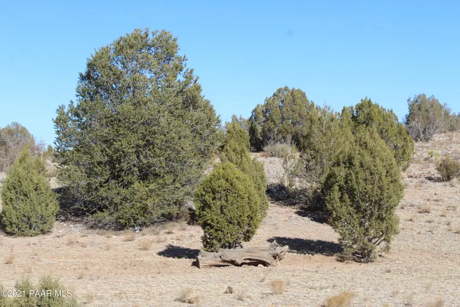 Tbd Greenview Ranches, Seligman, AZ 86337 - Image #2