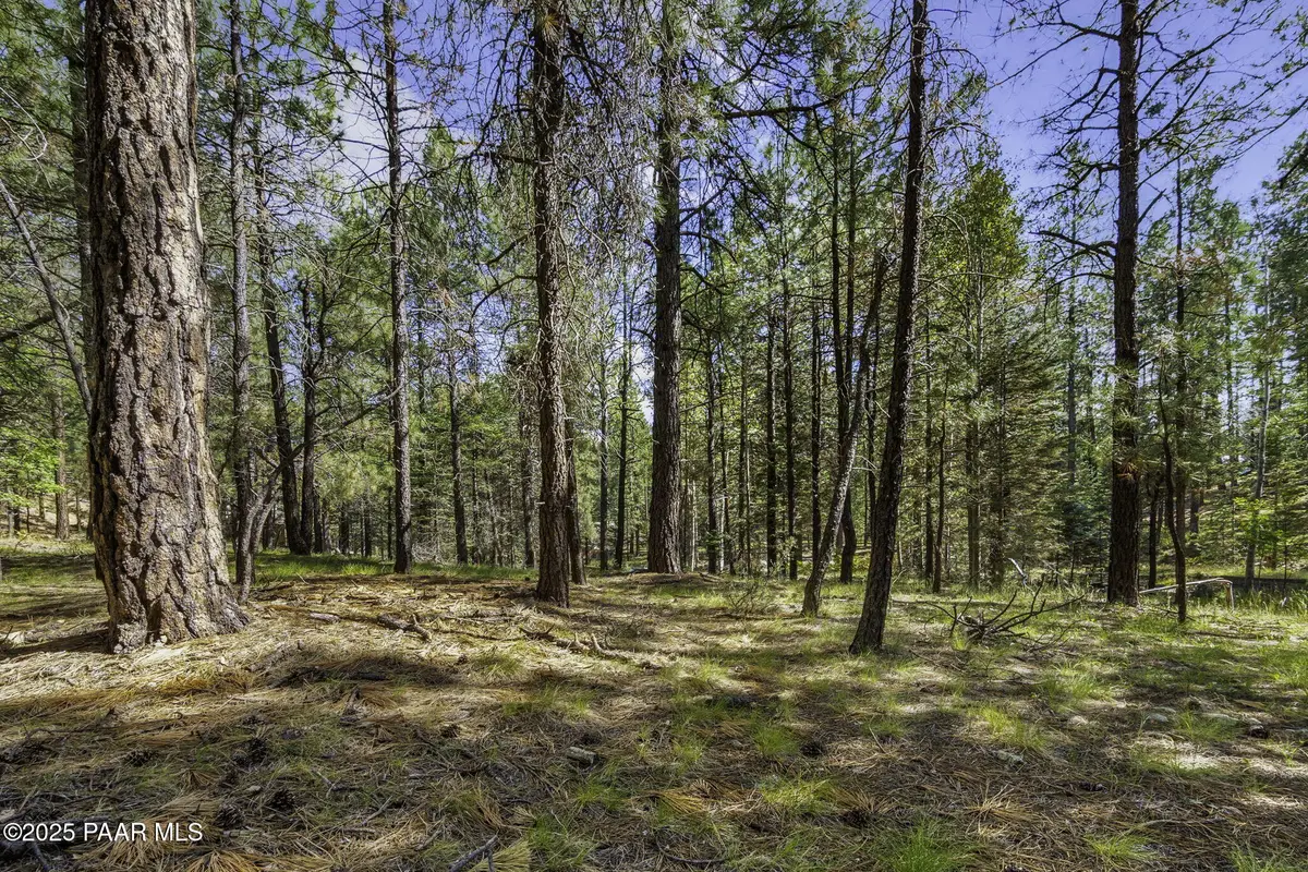 00 S Comstock Mine Road, Prescott, AZ 86303 - Image #1