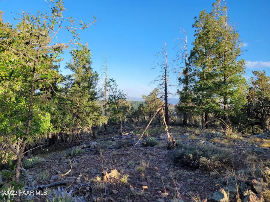 78xx S Big Bug Mesa Road, Prescott, AZ 86303 - Image #2