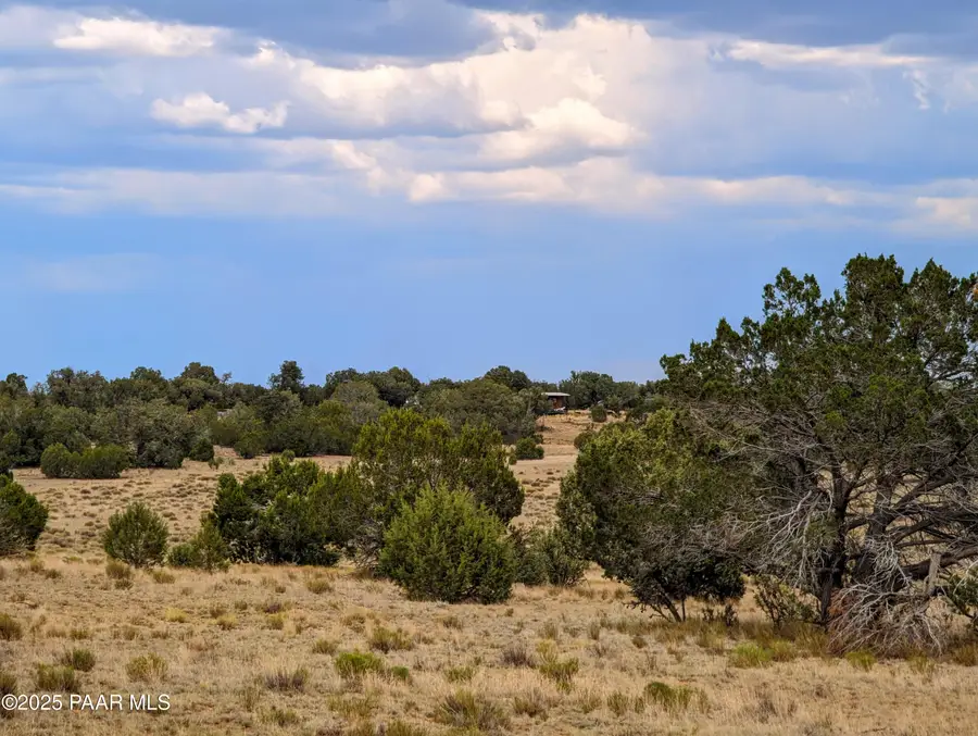 1109 Jackpot Ranch Road, Seligman, AZ 86337 - Image #3