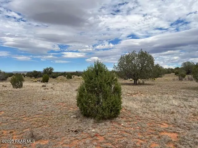 310 Dusty Rose Ranch Road, Seligman, AZ 86337 - Image #2