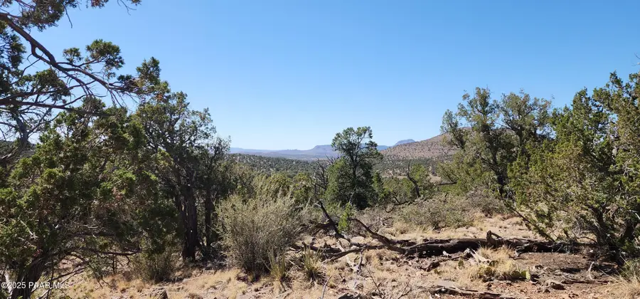 363 & 364 Big View, Ash Fork, AZ 86320 - Image #2