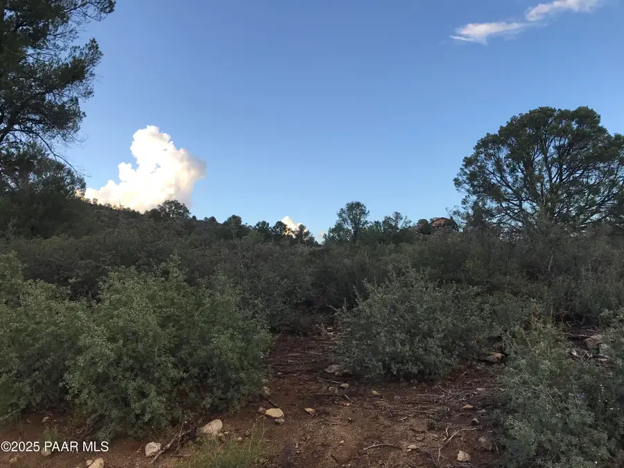 00000 W Buckhorn - V Drive, Peeples Valley, AZ 86332 - Image #2