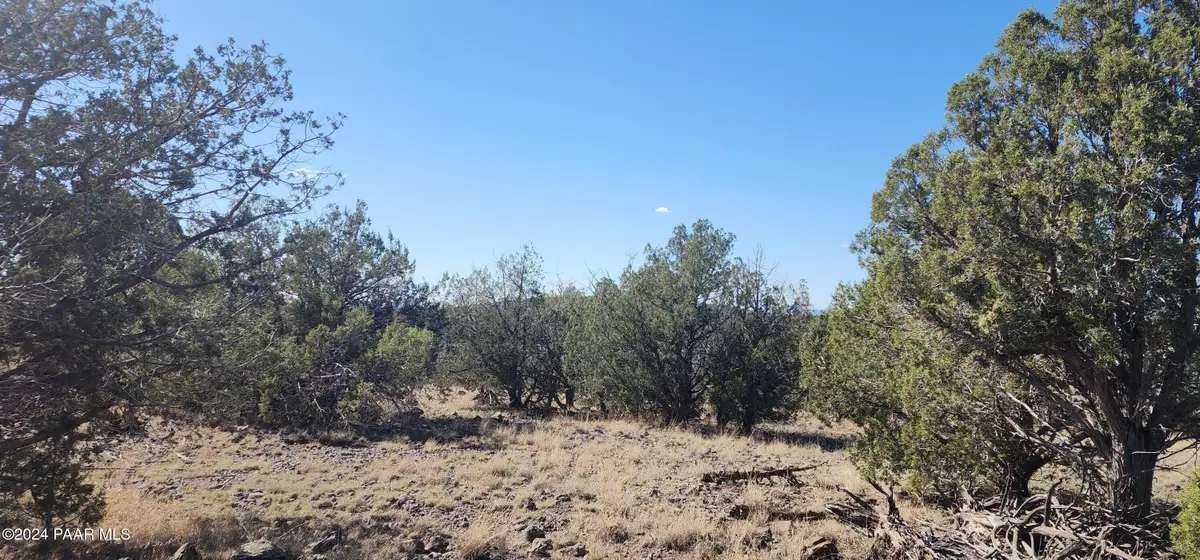3214 N Kerren Lp, Ash Fork, AZ 86320 - Image #1