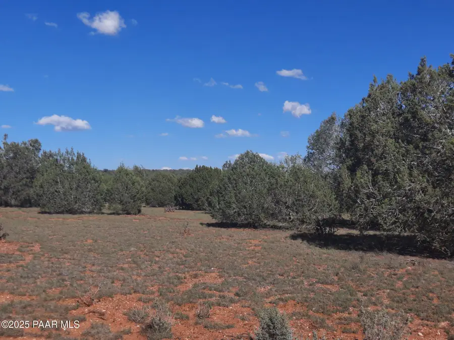 54243 N Via De Oro Pakway Parkway, Seligman, AZ 86337 - Image #3