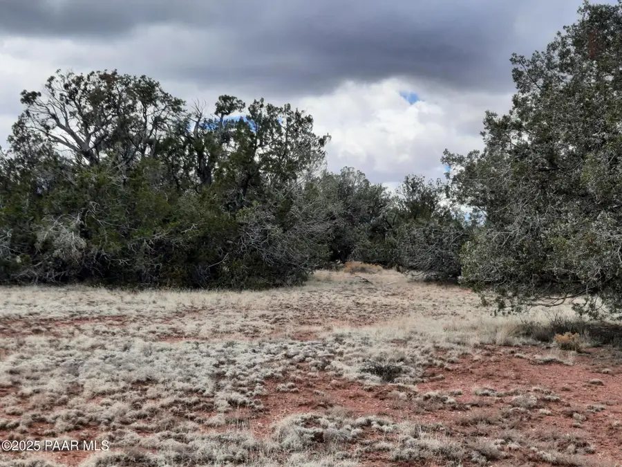 55660 N La Bruja Road, Seligman, AZ 86337 - Image #3