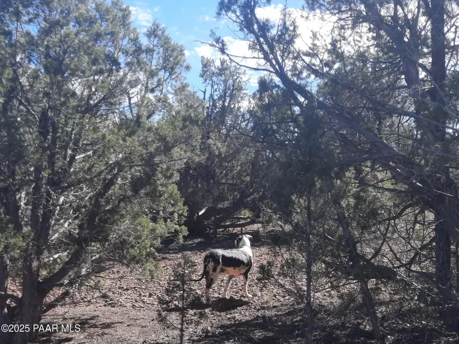 Lot 602b Edge Ridge Rd, Seligman, AZ 86337 - Image #2