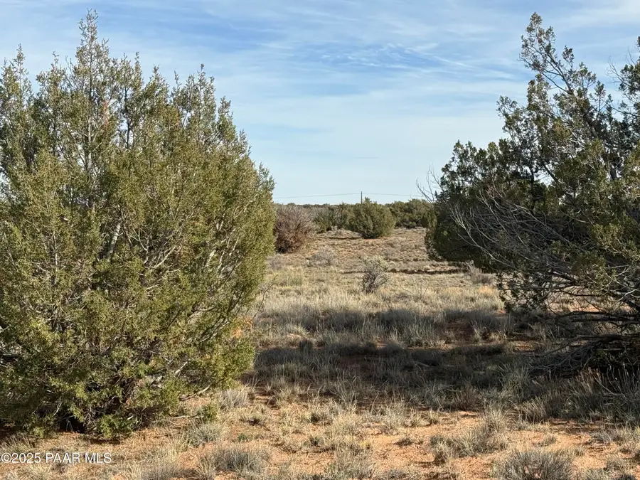 3868 Clyde Road, Snowflake, AZ 85937 - #2