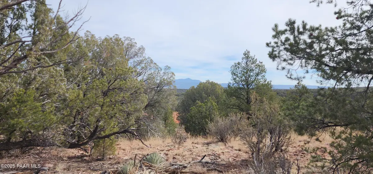 S2 Lot 92 Off Indian Springs, Ash Fork, AZ 86320 - Image #1