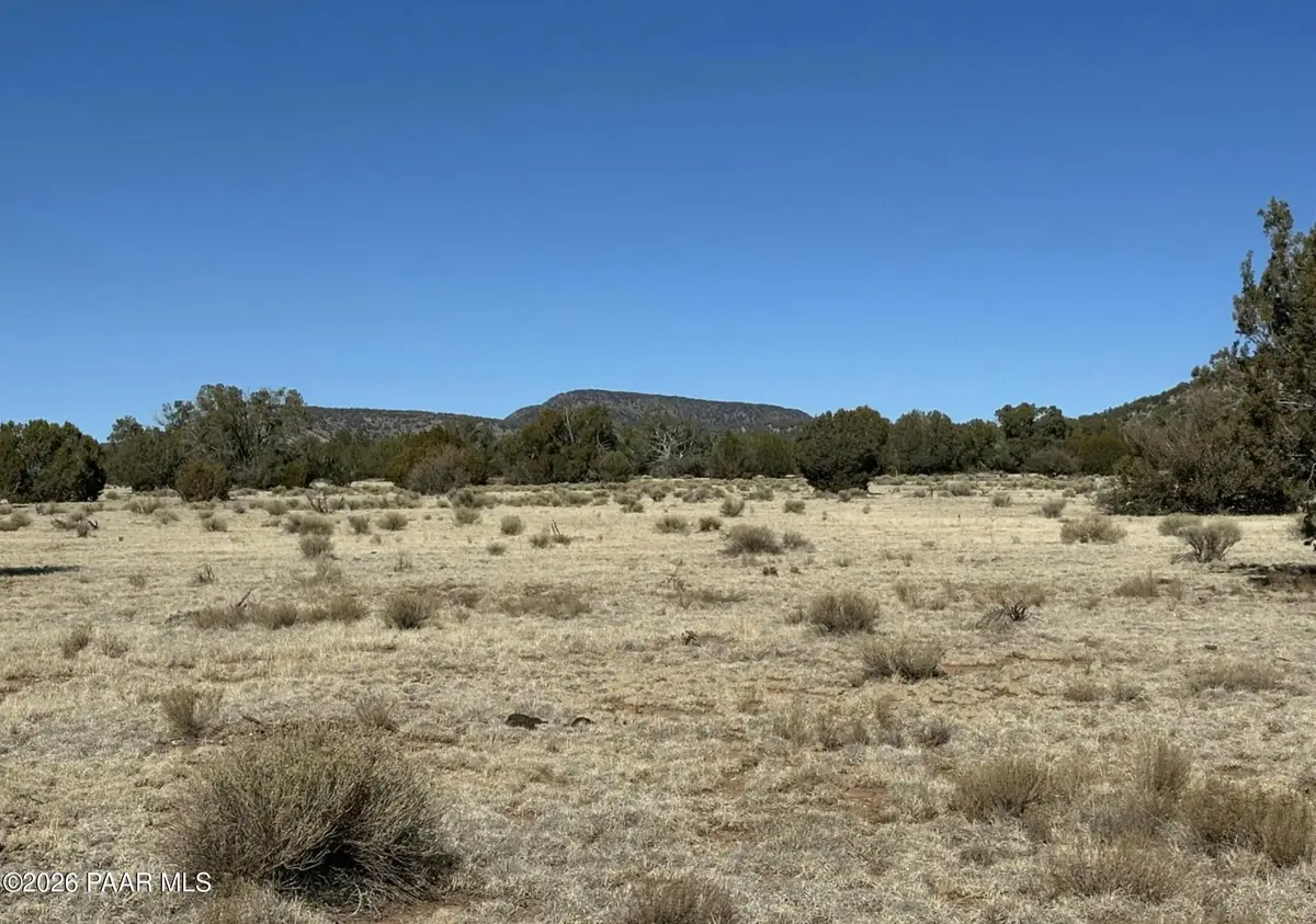 932c SW Thirsty Burro Road, Seligman, AZ 86337 - Image #1