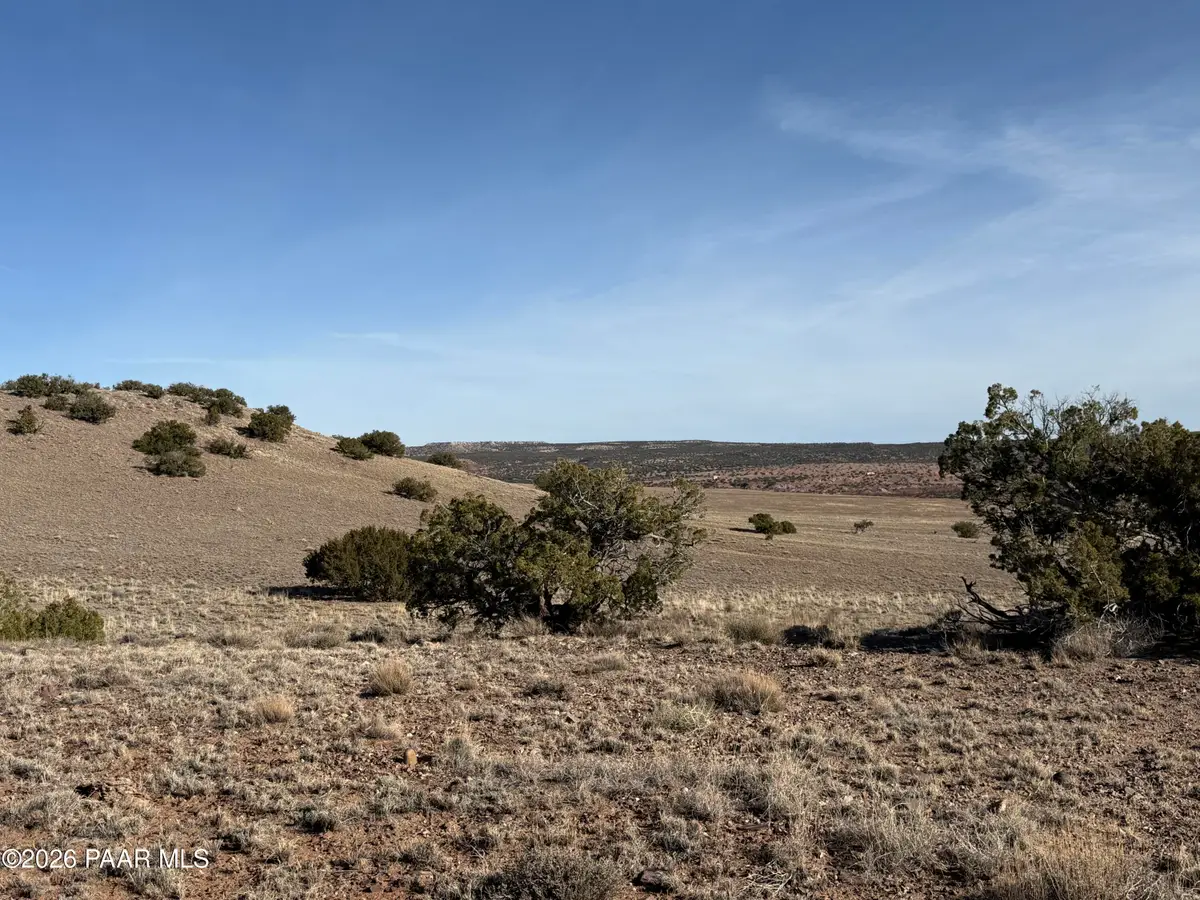Lot 197 River Springs Ranch, Saint Johns, AZ 85936 - Image #1
