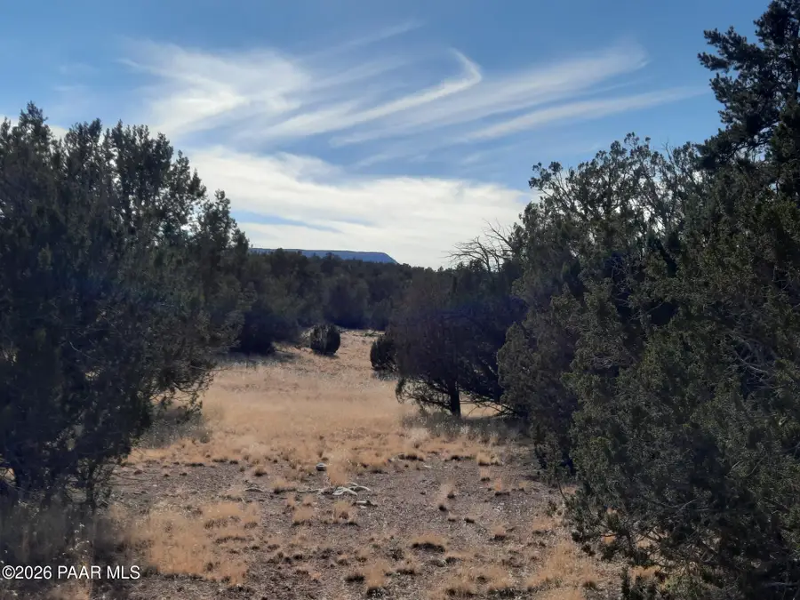 31616 W Calle Barril, Seligman, AZ 86337 - #2