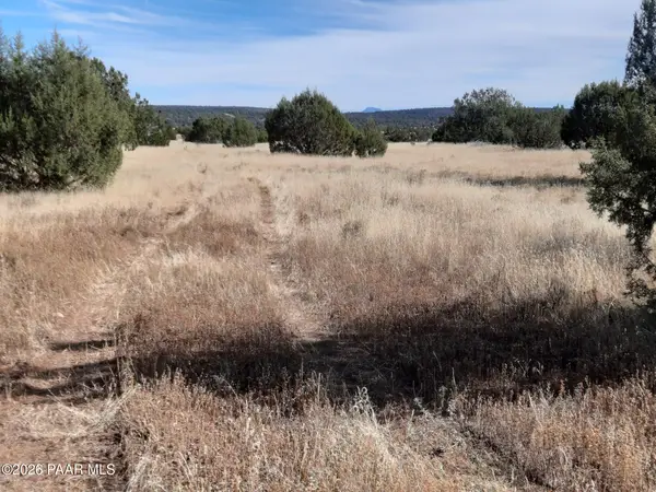 32381 W Montecito Lane, Seligman, AZ 86337