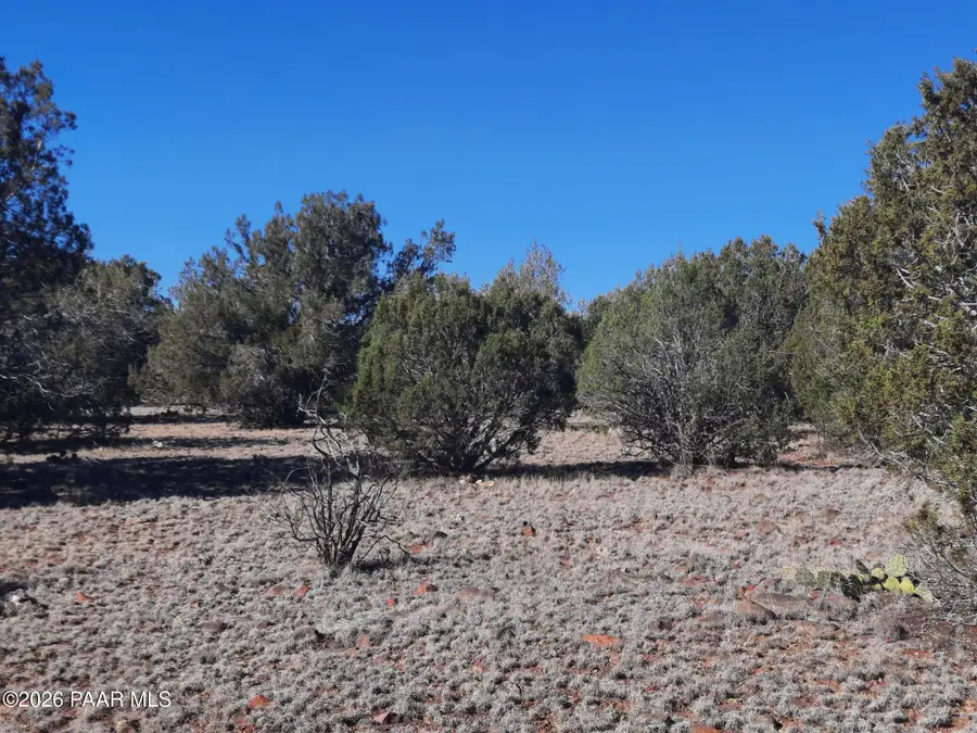 33175 Cowboy Clint Way, Seligman, AZ 86337 - Image #3