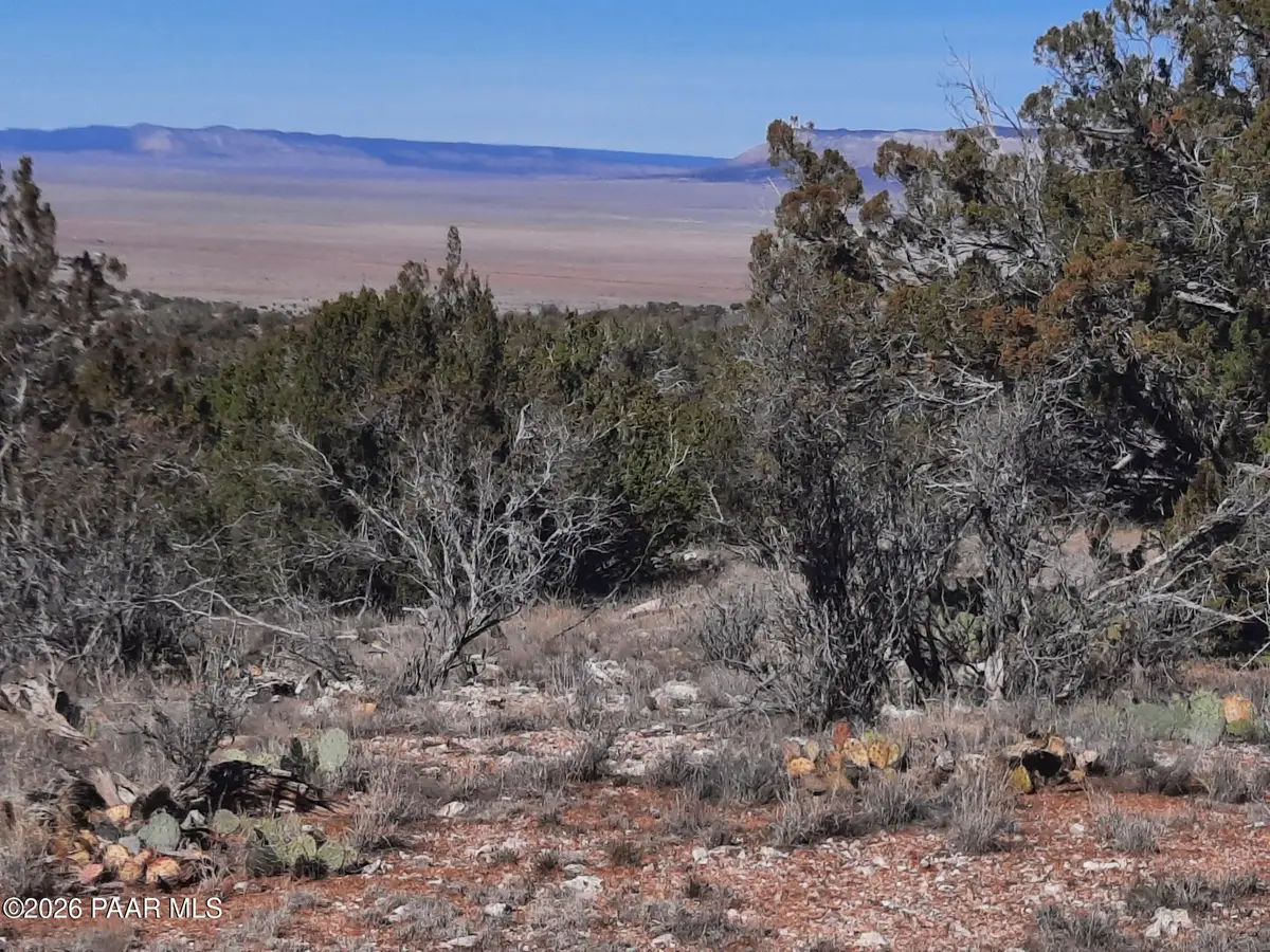 Lot 928 Bridge Canyon Pkwy, Seligman, AZ 86337 - Image #1