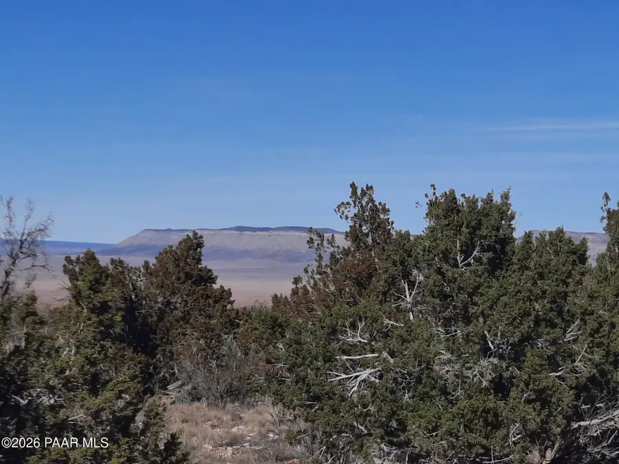 Lot 928 Bridge Canyon Pkwy, Seligman, AZ 86337 - Image #2