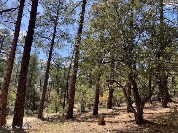 020e Vulture Bend Drive, Prescott, AZ 86305