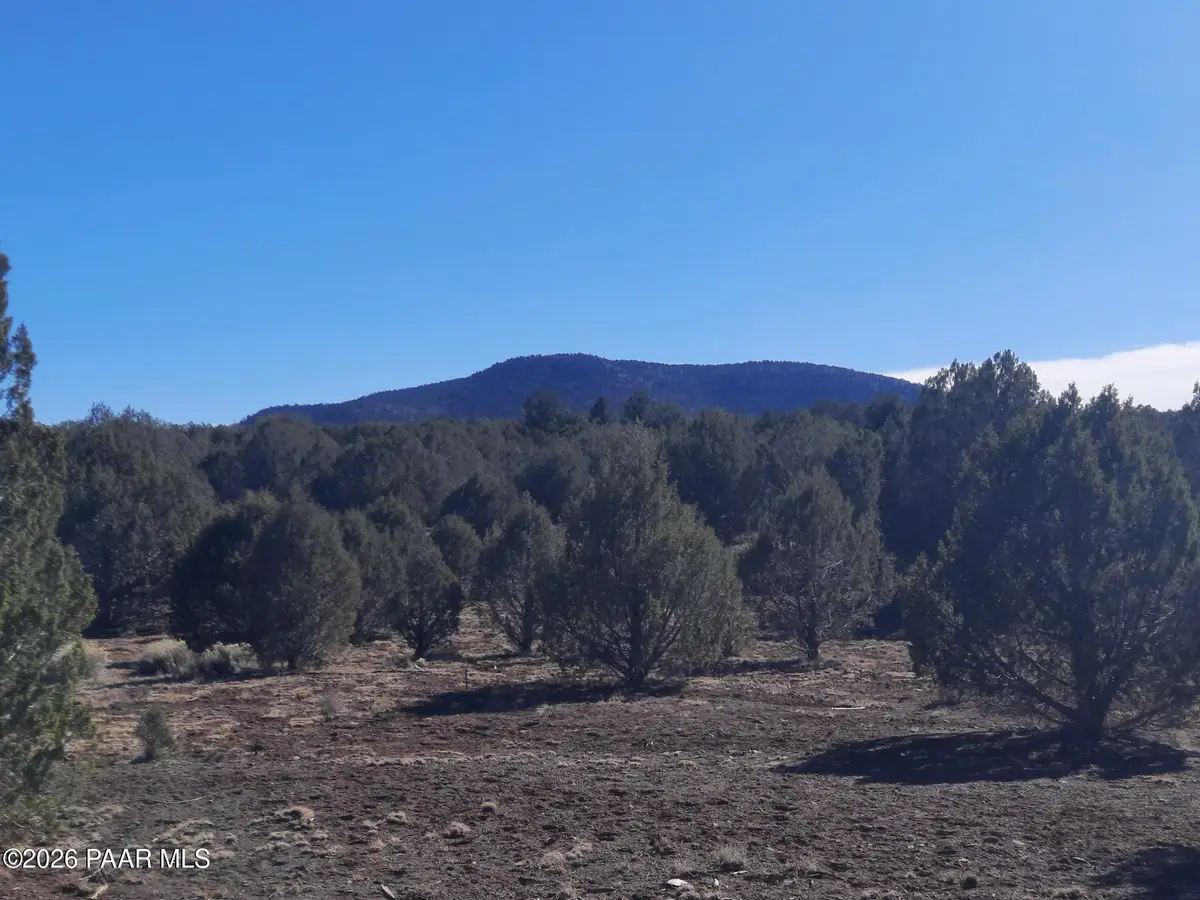 Lot 850 W Fort Rock Road, Seligman, AZ 86337 - #1