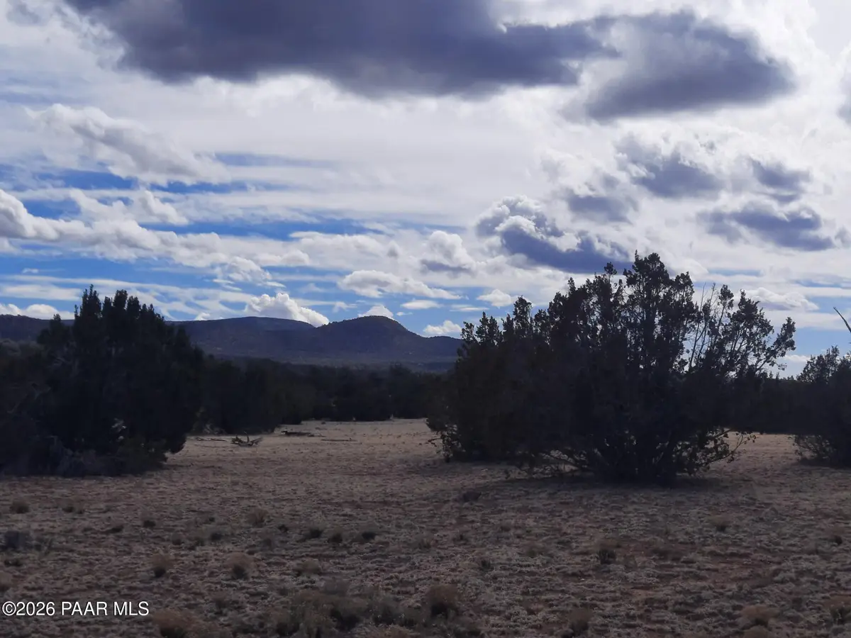 243b Off Chosen Few Road, Seligman, AZ 86337 - #1