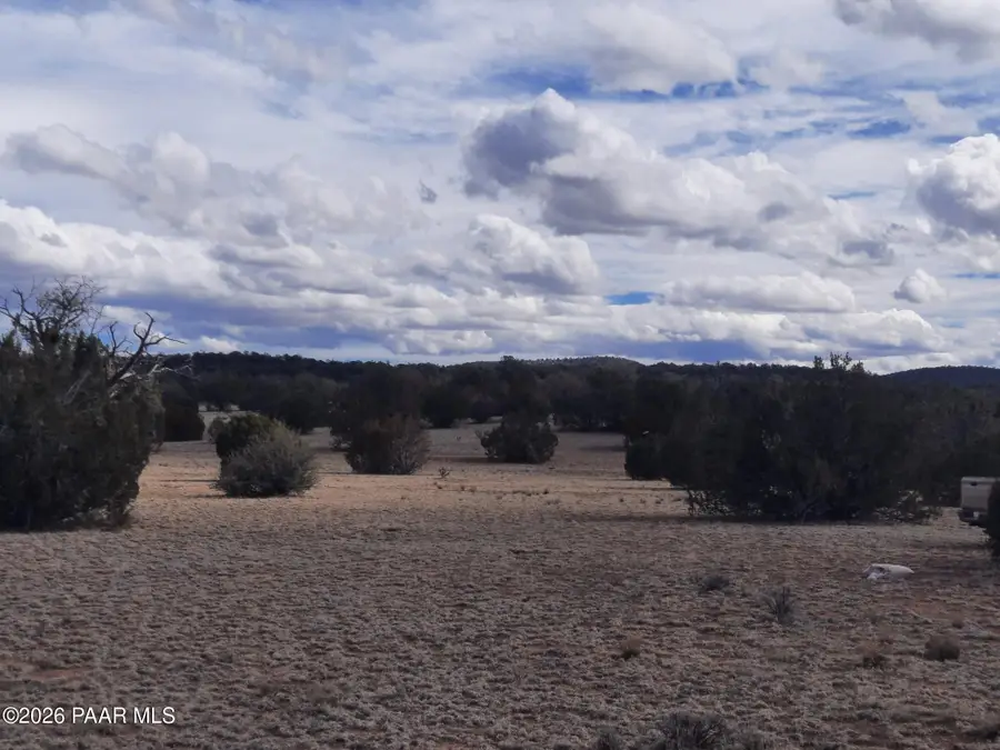 243b Off Chosen Few Road, Seligman, AZ 86337 - #2