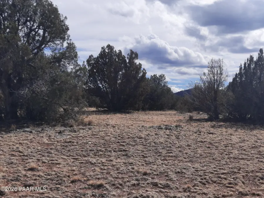 243b Off Chosen Few Road, Seligman, AZ 86337 - #3
