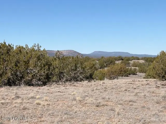 522 N Deer Camp Trail, Seligman, AZ 86337 - #1