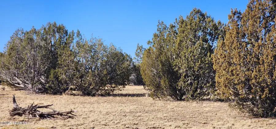251 Se4 Juniperwood Ranch, Ash Fork, AZ 86320 - #3