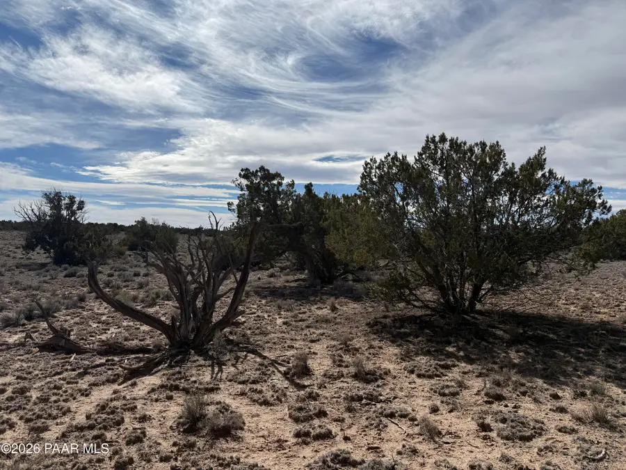 Tbd N7102, Saint Johns, AZ 85936 - #2