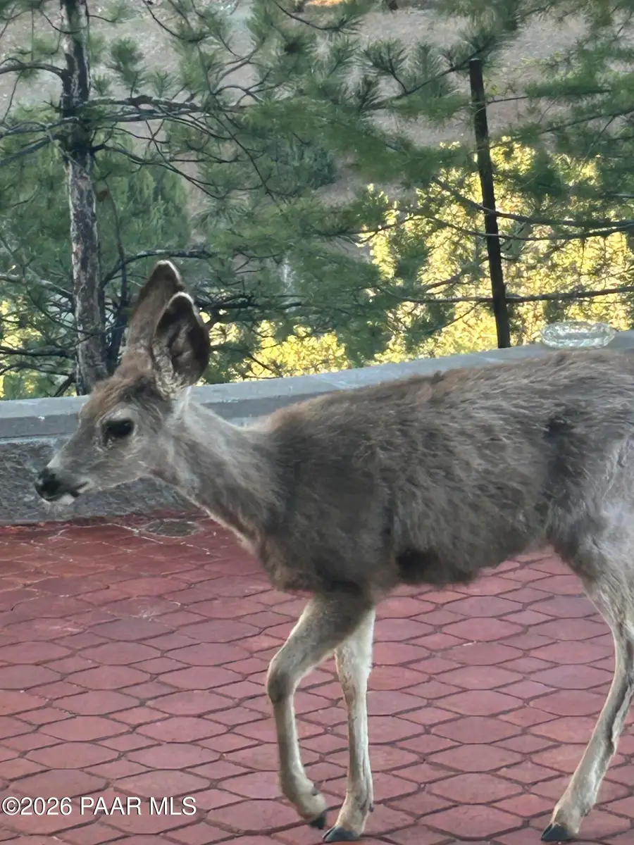 1375 N Overlook Drive, Prescott Valley, AZ 86327 - #3