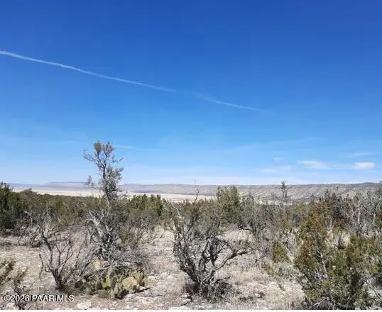 29118 W Stagecoach Lane, Seligman, AZ 86337 - #2