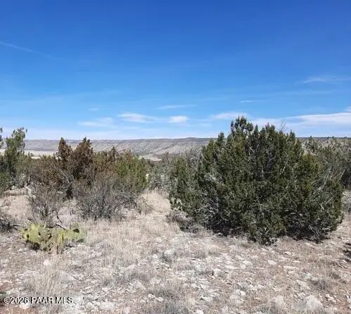 29118 W Stagecoach Lane, Seligman, AZ 86337 - #3