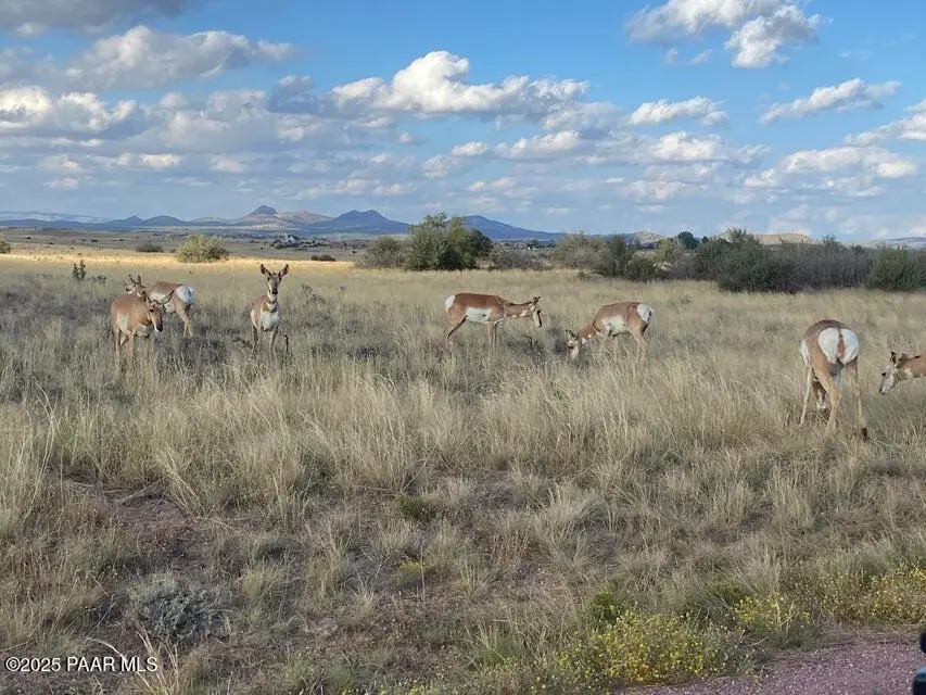 0 W Long Meadow - Lot 42 Drive, Prescott, AZ 86305 - #2