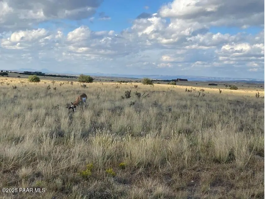 0 W Long Meadow - Lot 42 Drive, Prescott, AZ 86305 - #3