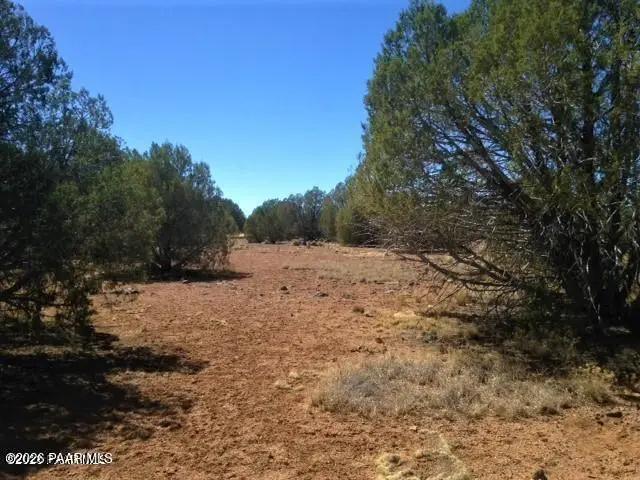 357 Lucky Lane, Ash Fork, AZ 86320 - #1