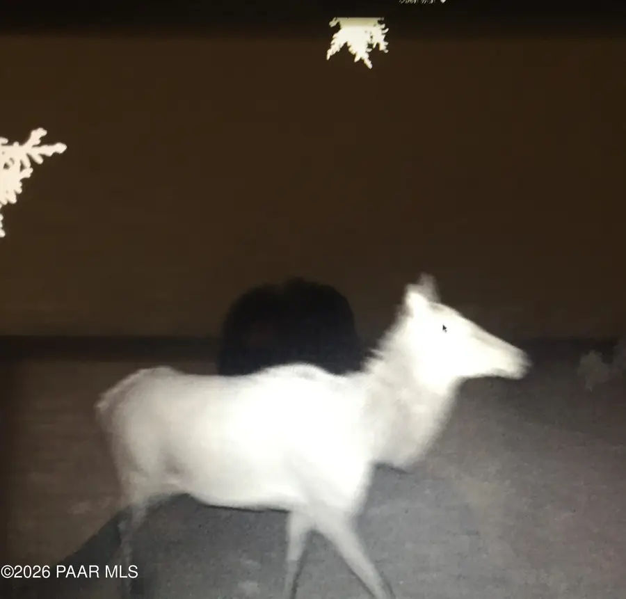 5479 N Ten Tanks Road, Williams, AZ 86046 - #3