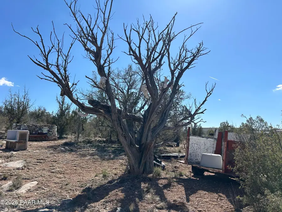 00 N Pumphouse Road, Seligman, AZ 86337 - #3