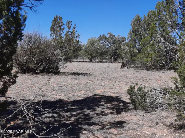 Lot 265 N Rocky Top Road, Seligman, AZ 86337