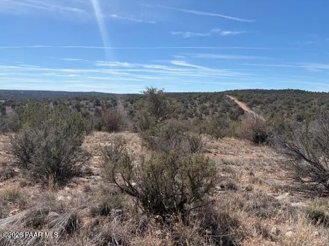 56800 Bearclaw Road, Seligman, AZ 86337 - #3