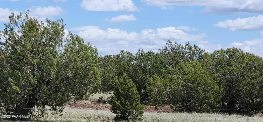 12b Juniperwood Ranch, Ash Fork, AZ 86320 - #2