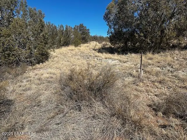 32372 Ancho Road, Seligman, AZ 86337 - #2