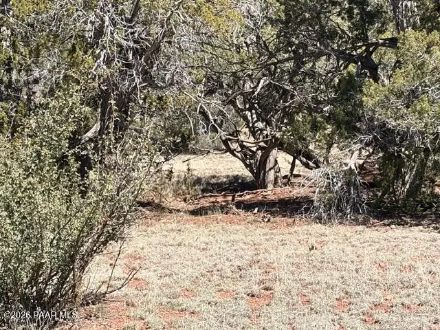 159 Circle Drive, Seligman, AZ 86337 - #3