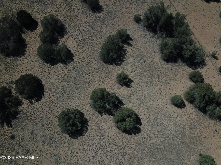25935 W Fort Rock Road, Seligman, AZ 86337 - #2