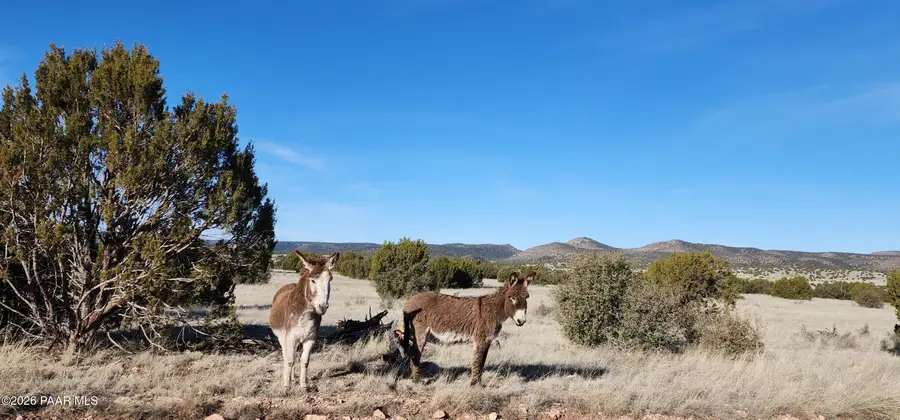 361 W Valley Boulevard, Seligman, AZ 86337 - #2