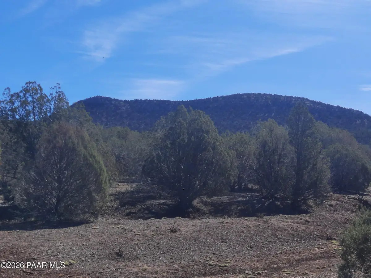 004b Retirement Ln, Seligman, AZ 86337 - #1