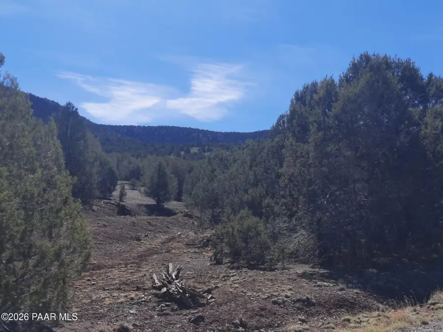 004b Retirement Ln, Seligman, AZ 86337 - #3