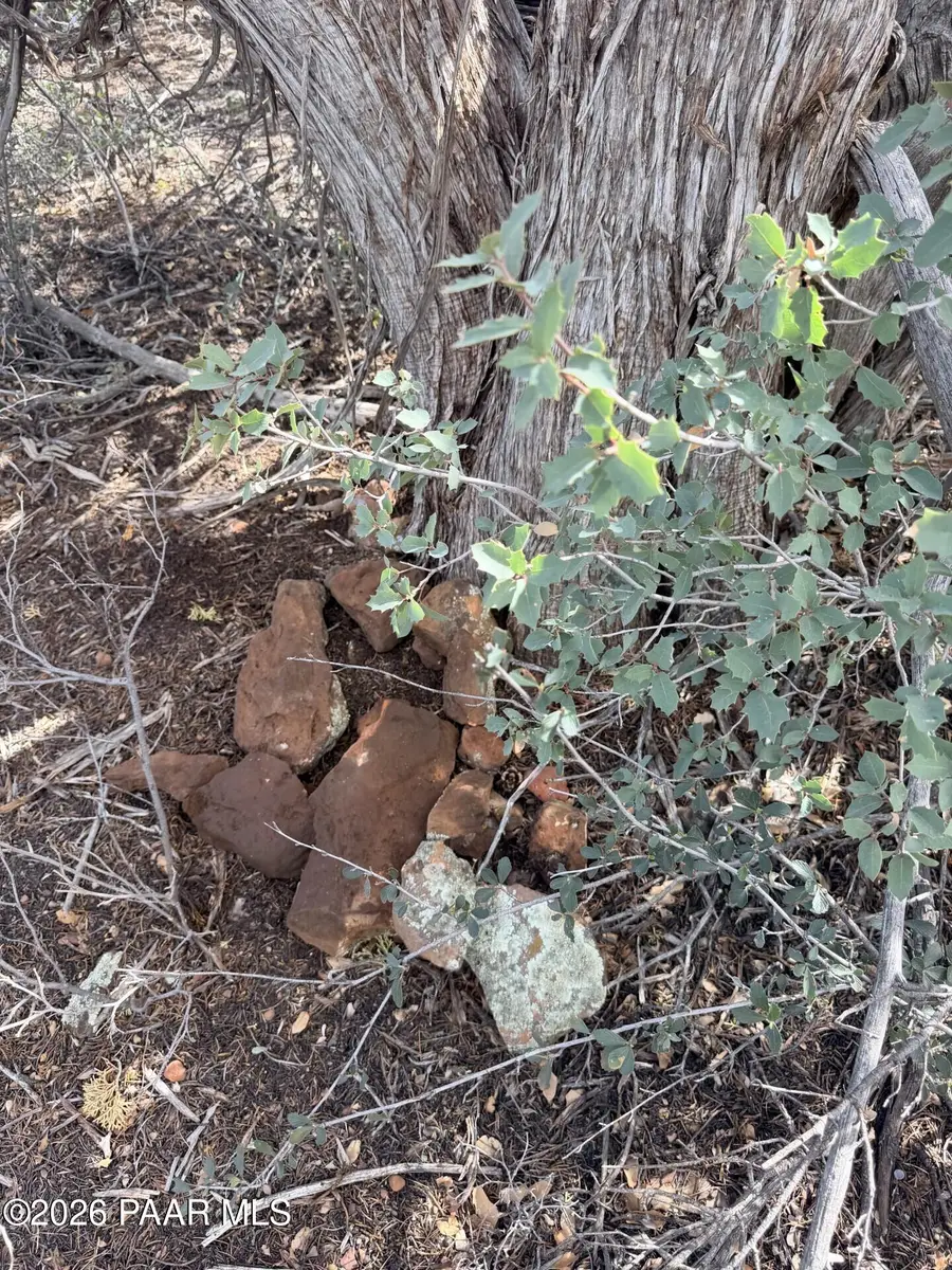 Lot 309 Forest Acres, Seligman, AZ 86337 - #3