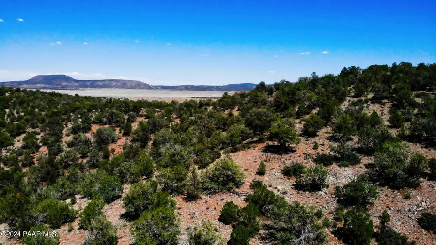 30117010l Unnamed Rd (20 Acres), Seligman, AZ 86337 - #3